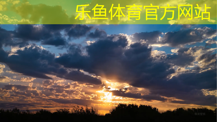 网球网格尺寸是多少米的