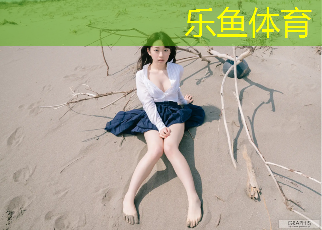 室内网球网球